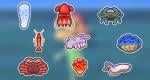All February Sea Creatures in Animal Crossing New Horizons
